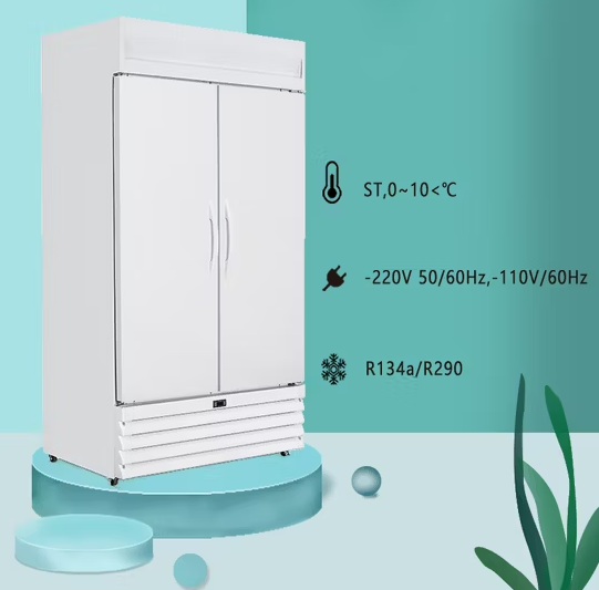 Double Door Pharmaceutical Lab Refrigerator (2-8°C)
